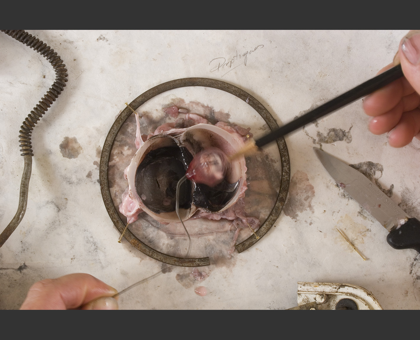 Dioptrics, Paul Lowry